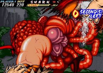 image de The First Funky Fighter